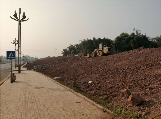 瀘州園林綠化項目.png 瀘州園林綠化項目.png