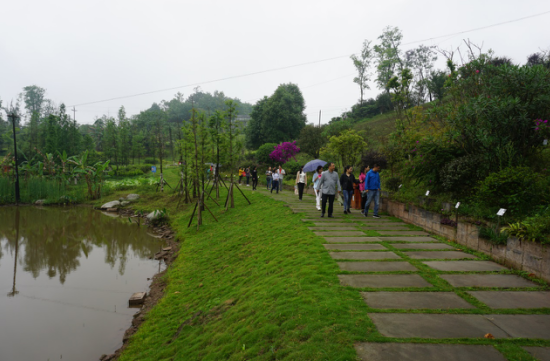 瀘州園林建設機構.png 瀘州園林建設機構.png