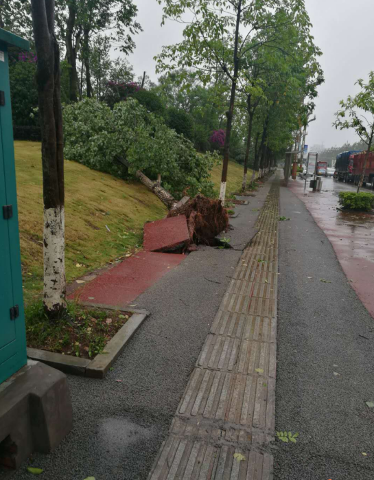 瀘州城市園林設計 瀘州城市園林設計