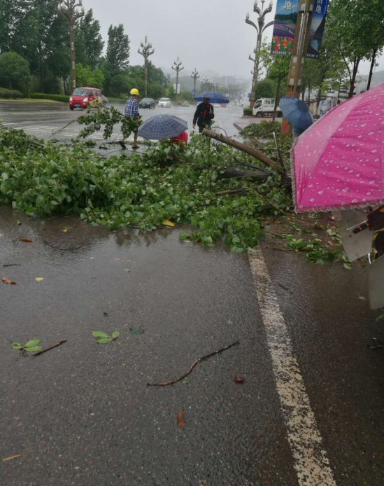 瀘州園林工程 瀘州園林工程