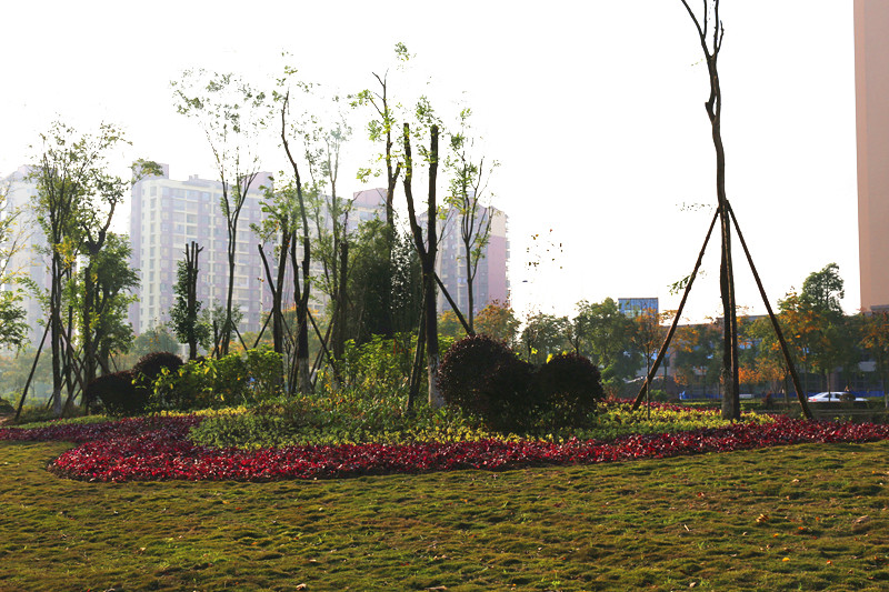 城市公園改造.jpg 城市公園改造.jpg