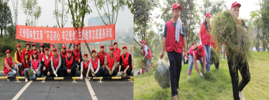 瀘州園林綠化養護.png 瀘州園林綠化養護.png