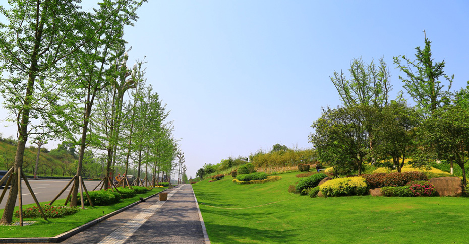 園林綠化的養護 園林綠化的養護