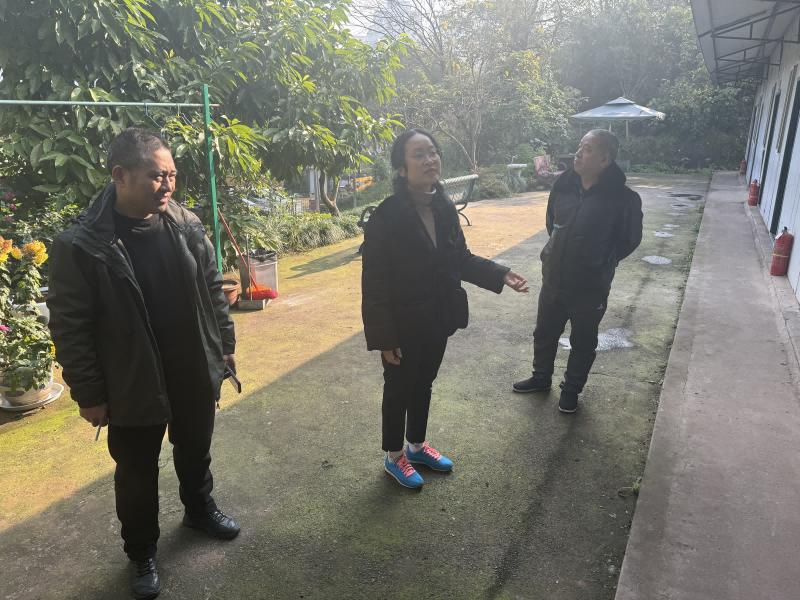 1735639596763727.png 圖片1(1).png